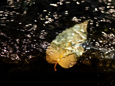 I sure could`ve used a neutral density filter for this shot [Christmas present hint].