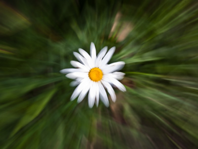 Cold, cold it was as I wandered through the garden park.