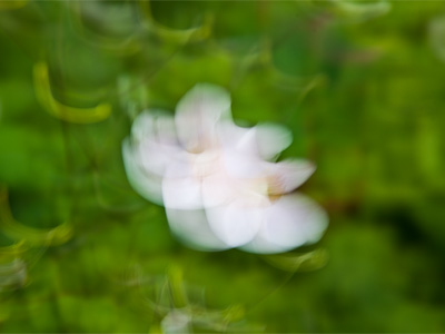 Clarity is overrated.