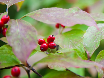 I liked being outside, but today`s photos lack enthusiasm.