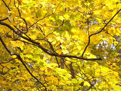 If one of my workshop participants showed me this photo, I`d ask, `Okay, so what exactly is this a picture of?`