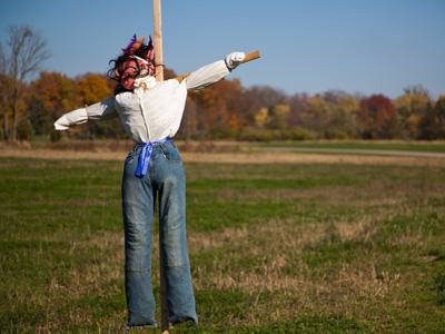 Dunno if it scared crows, but it certainly creeped ME out.