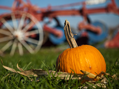 The last pumpkin on the farm, and I made good use of it.