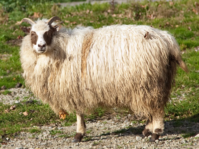 Winter coats are on sale at this time of year.