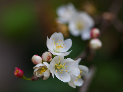 It was a lovely spring day.