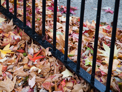 I shovel snow, but I don`t rake leaves.  Not my problem.