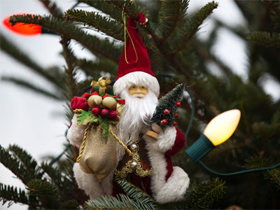 You want this creeper sneaking into your house at night?