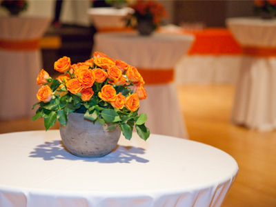 It was going to be easy to photograph this reception -- until they turned down the lights.  Every picture was a struggle.