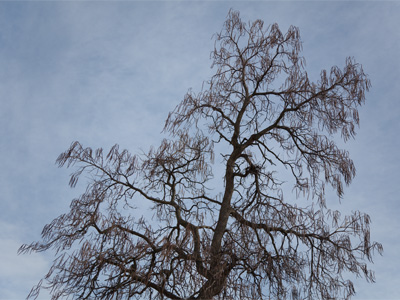 The sun came out briefly today.