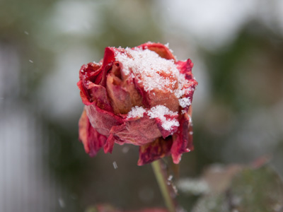 When seasons collide.