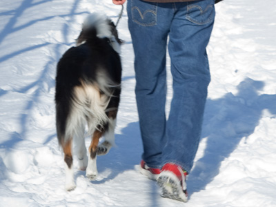 Actually, it was a very excitable dog that was waiting, and she controlled my destiny for about the next half-hour.