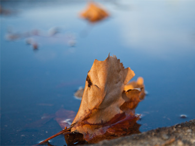 The snow and ice are melting into a peaceful-looking lake.