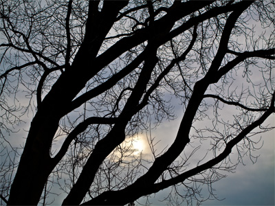 Despite my good intentions, it was still winter and there wasn`t much to see.