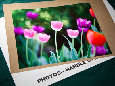 Pretty shot (see March 28, 2012).  I should get it framed.