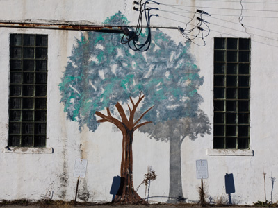 It`s the SHADOW of the tree that I find so remarkable.