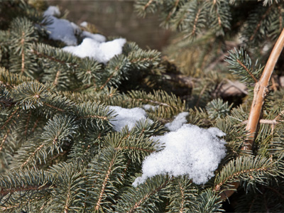 Can I have some chocolate syrup and sprinkles on mine?