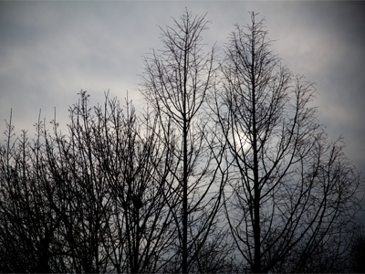 Can I last another 45 days until spring?  It`ll be close.