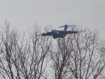 Strange nesting place.