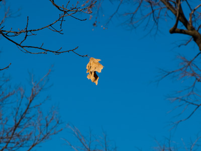 Don`t know the reason I stayed here all season. JIMMY BUFFETT