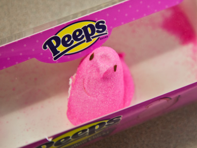 That innocent look won`t save you from being eaten.