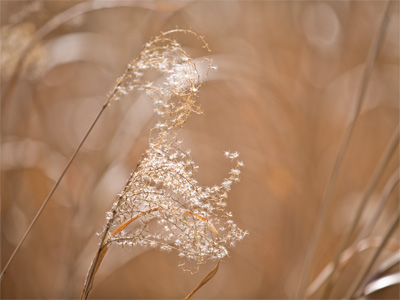 You should take every photo zoomed all the way in, or else be prepared to give me a good reason why you`re not.