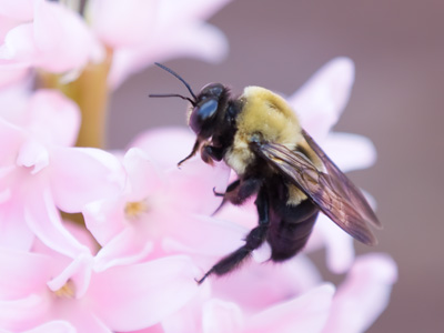 Some people are afraid of them.  Not me.