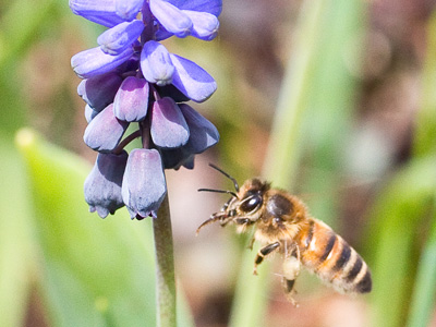As they say in basketball, that`s a great shot at the buzzer.