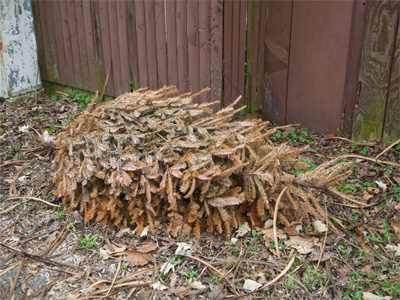 Christmas comes but once a year.