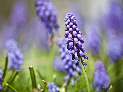 There was, I kid you not, a snake rustling through the grass nearby as I took this, but I ain`t skeered a no snake.