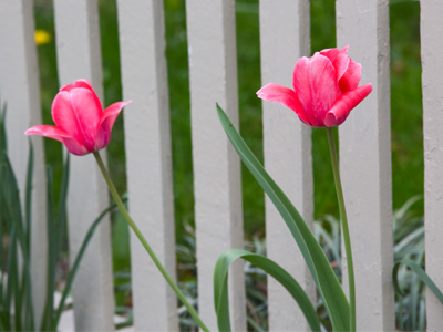 It almost looks like I live in a suburb.