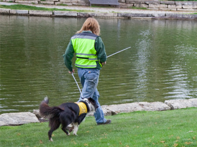 It`s this woman`s job to use a remote control toy boat and a dog to drive geese away from a pond.  SO JEALOUS!