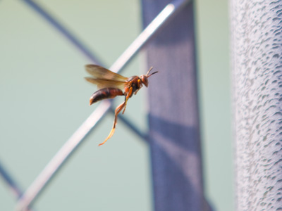 Oh, so that`s what`s been crawling on my arm.