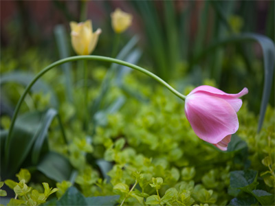 Bent but not broken.