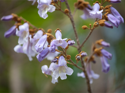 Springtime passes, whether you`re paying attention or not.