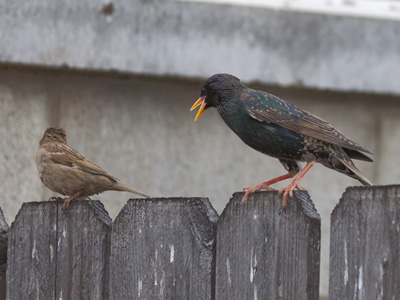 `You look at me when I`m talking to you!`