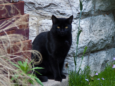 Sometimes clutter in a shot is just clutter, but not this time.