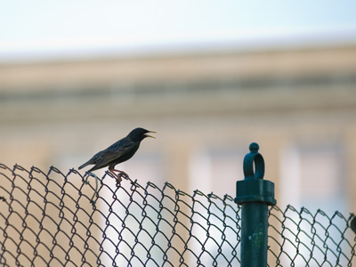 I use the term Nature Photography very loosely.