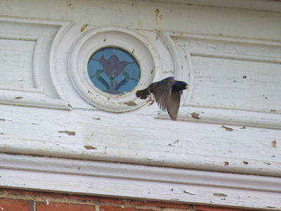 More Nature Photography, I guess.