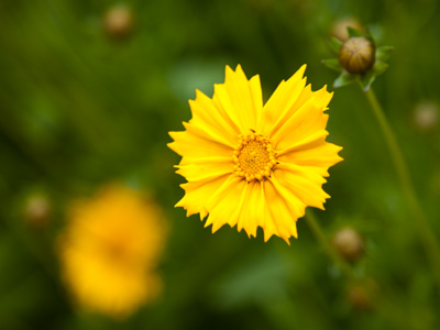 I don`t think I saw you at my Nature Photography workshop this morning.  What were you wearing?