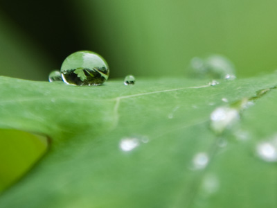 It`s all about perspective.  I took another picture of these same raindrops from above and it is BORING!