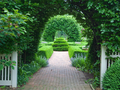 Buying that camera has irrevocably changed my life, both for better and for worse, with a blurry line in between.