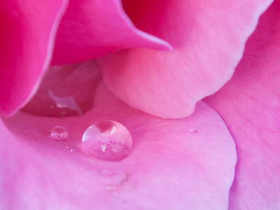 I`m so glad to see you, Mrs. Rosewater.