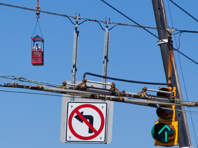 If I hadn`t shown you the previous two photos, you would be really confused right now.