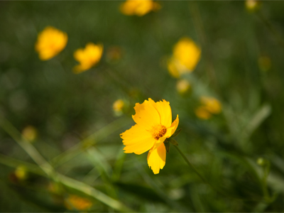 Pretty things in an ugly place.