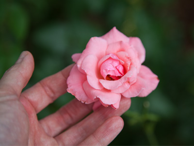 On a windy day, you have to take things into your own hands.