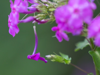 Some days it`s all we can do to hang on.