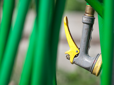You run through the sprinkler while I take your picture.