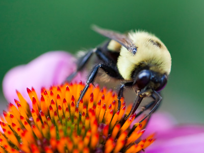 You can`t tell that I`m still in the city.