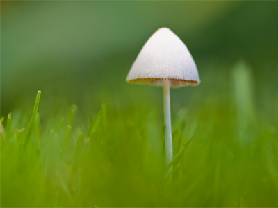 Can`t I just stay down here?