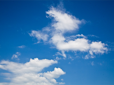 Appreciate them.  They keep EVERYTHING alive.